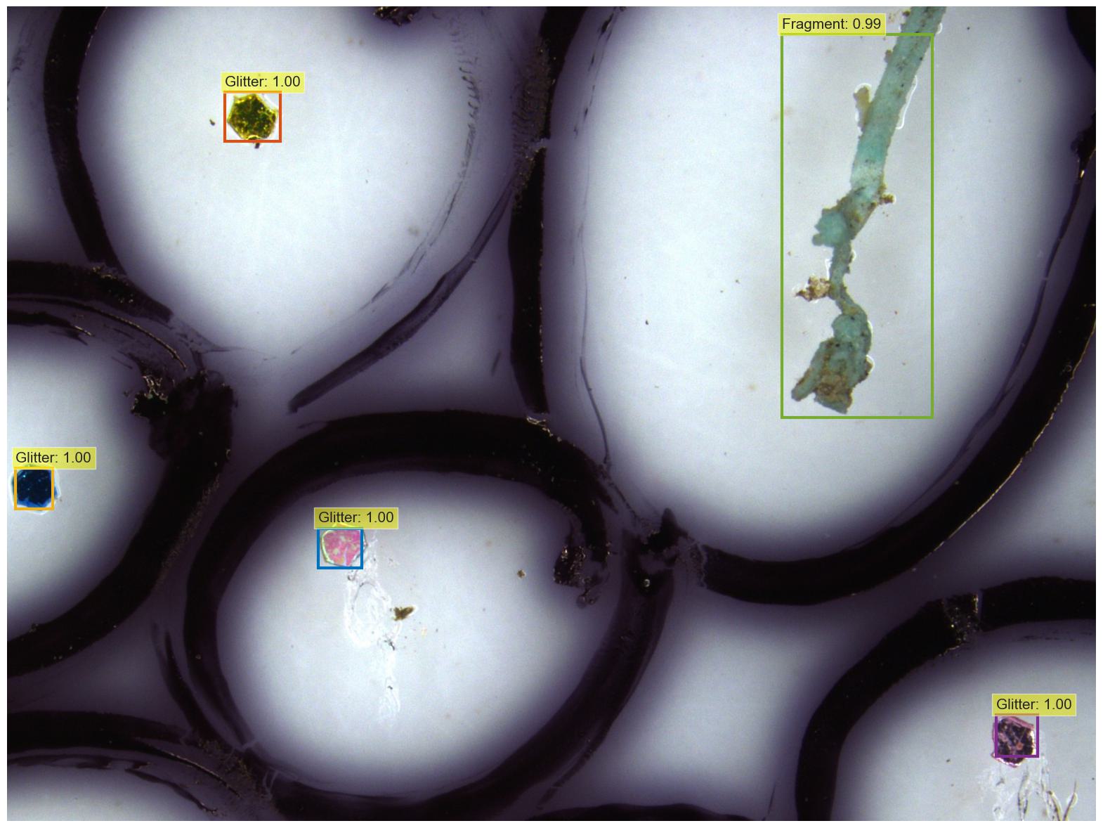 DETR microplastics detection — Glitter and Fragment classes with bounding boxes